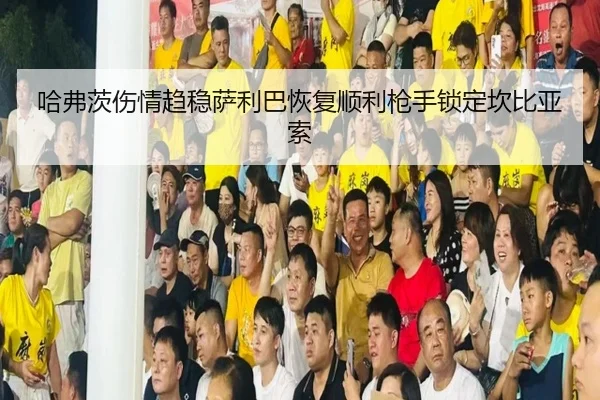 哈弗茨伤情趋稳萨利巴恢复顺利枪手锁定坎比亚索